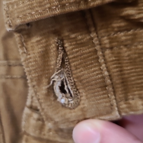 24" brown Gap corduroys, high-waisted - Picture 4 of 4